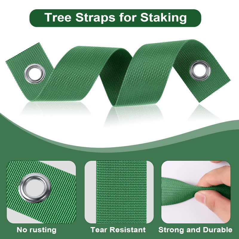 Jevrench 12 PCS Tree Straps for Staking  Tree Support Straps for Guying Staking Newly Planted Sapling Straight and Hurricane Protection  Heavy Duty Tree Stake Straps for Straightening - Image 4